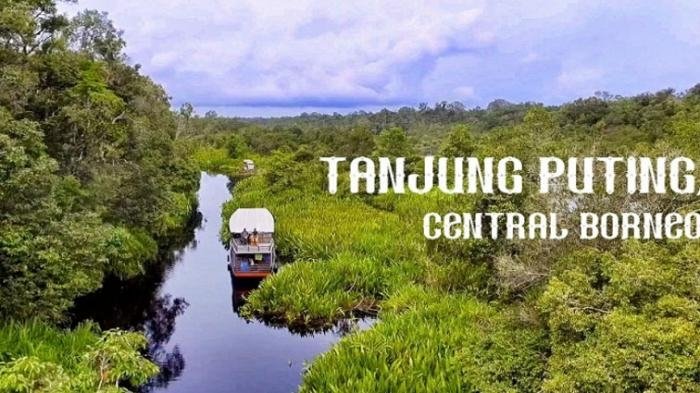 Ekowisata dan satwa di Taman Nasional Tanjung Puting