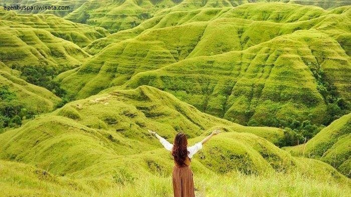 Wisata budaya dan alam di Pulau Sumba