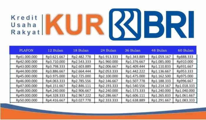 Tanpa Perlu Jaminan, Ini Simulasi Angsuran Pinjaman BCA Tanpa Agunan Pinjam Rp25-100 Juta Cicilan 300 Ribu
