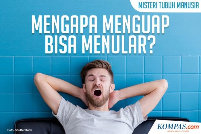 Mengapa kita menguap penyebab ilmiah menguap
