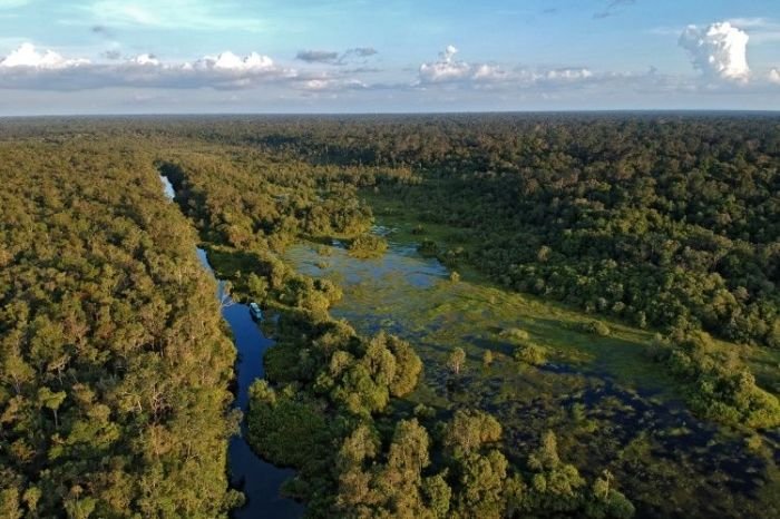 Ekowisata dan satwa di Taman Nasional Tanjung Puting