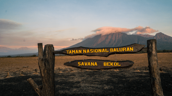 Wisata konservasi satwa di Taman Nasional Bukit Lawang