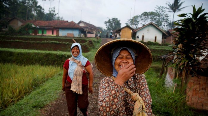 Peran perempuan dalam pembangunan indonesia