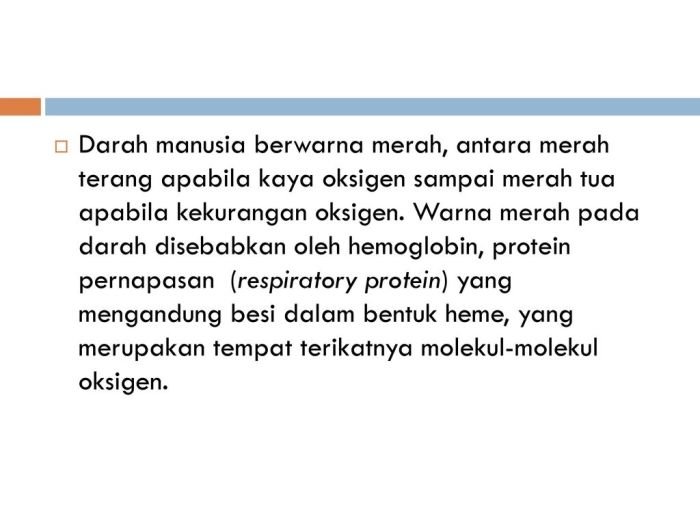 Darah eritrosit sel merah manusia komponen hematokrit penyakit kelainan trombosit fungsinya hemostasis apa cells tinggi tubuh macam jumlah artinya sehat Alasan darah berwarna merah