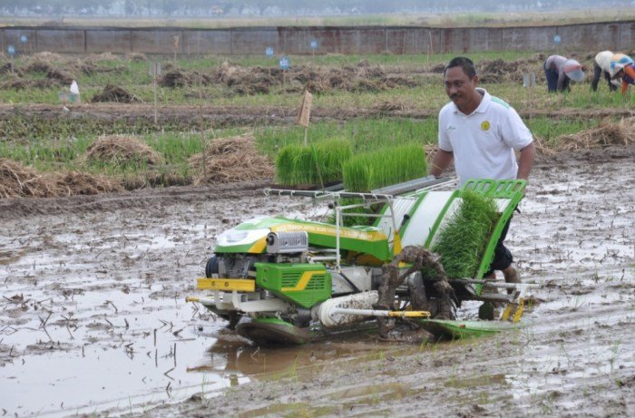 Teknik pertanian tradisional yang masih bertahan di indonesia