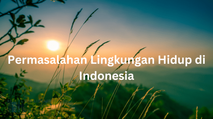Isu lingkungan hidup dan konservasi di indonesia dan solusinya