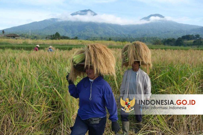 Strategi pengembangan sektor pertanian di indonesia untuk ketahanan pangan