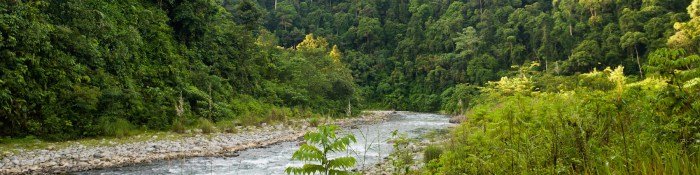 Lawang bukit sumatera utara taman wisata uniknya gunung leuser alam