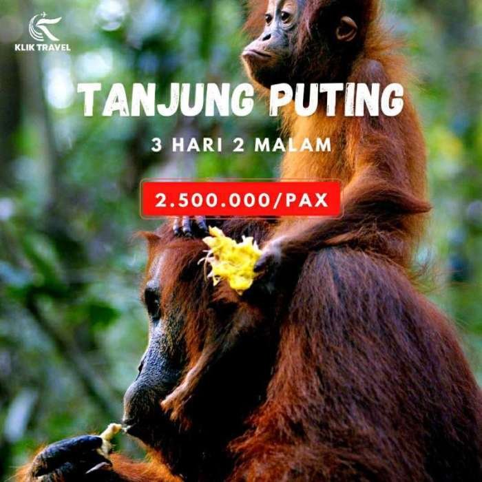Ekowisata dan satwa di Taman Nasional Tanjung Puting