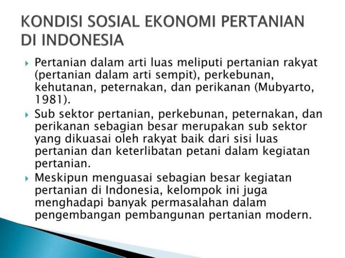 Perbedaan sosial ekonomi di indonesia dan dampaknya