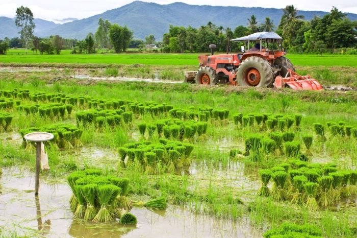 Perkembangan teknologi pertanian modern di indonesia