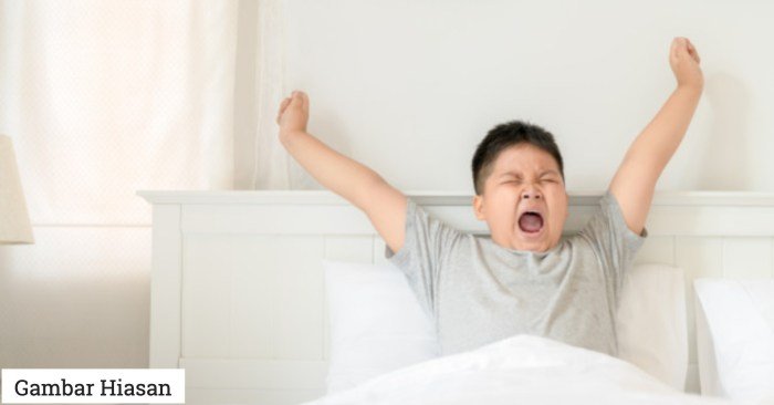 Langsung tidur berdiri alasannya jangan bangun pernah Alasan menggeliat setelah bangun tidur