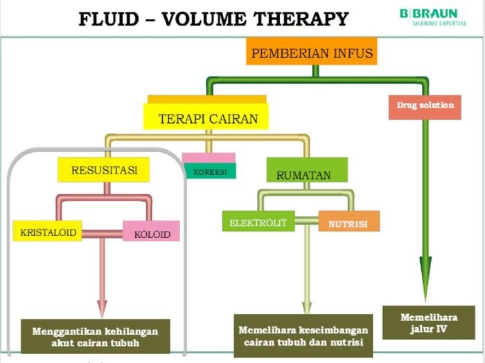 Mekanisme berkedip ratusan kali sehari