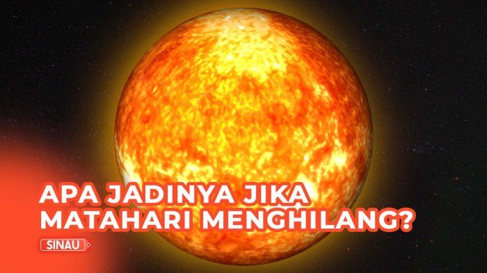 Matahari penting bumi peranan hidup mengapa makhluk alasan inilah Alasan terbangun karena cahaya matahari